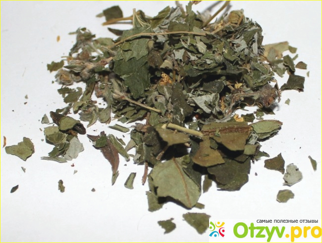Травяной сбор Витаминный чай №2 фото2