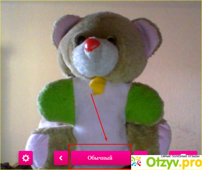 Webcam toy фото1