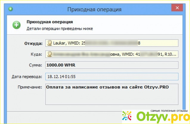 Отзыв о Otzyv.pro