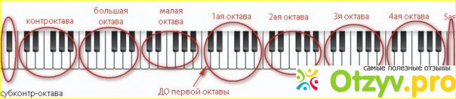 Сколько клавиш у пианино фото2