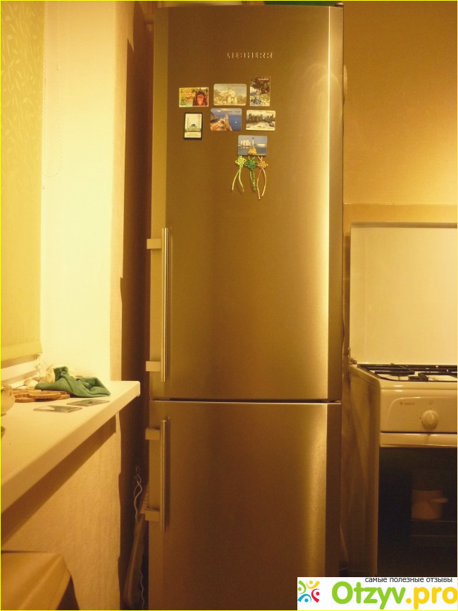Отзыв о Холодильник LIEBHERR Ces 4023