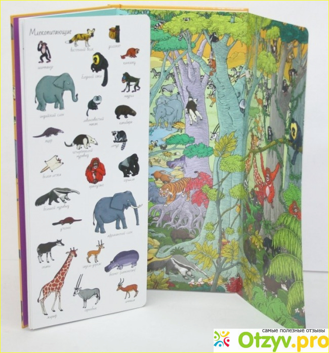 Мир животных из серии Найди и покажи-лучшая книга для развития вашего ребенка