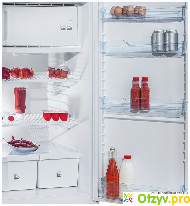 Однокамерный холодильник Позис СВИЯГА 404-1 рубиновый фото2