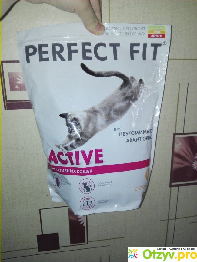 Отзыв о Сухой корм Perfect Fit для активных кошек