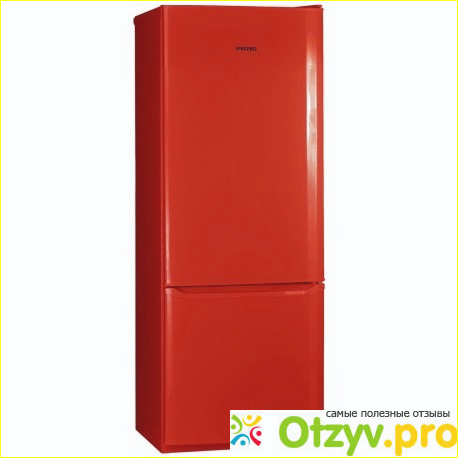 Отзыв о Двухкамерный холодильник Позис RK-102 рубиновы