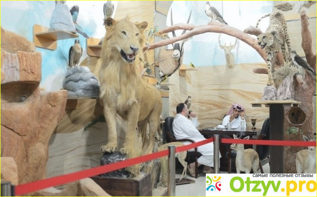 Катар отзывы туристов фото5