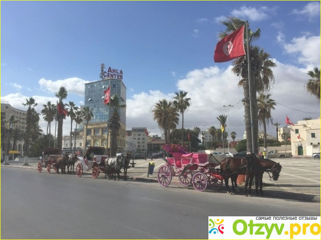 Тунисский город-курорт, Сусс и отзывы туристов.