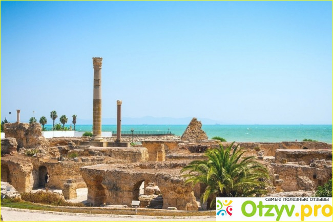 Негативные аспекты отдыха в Тунисе по мнению туристов.