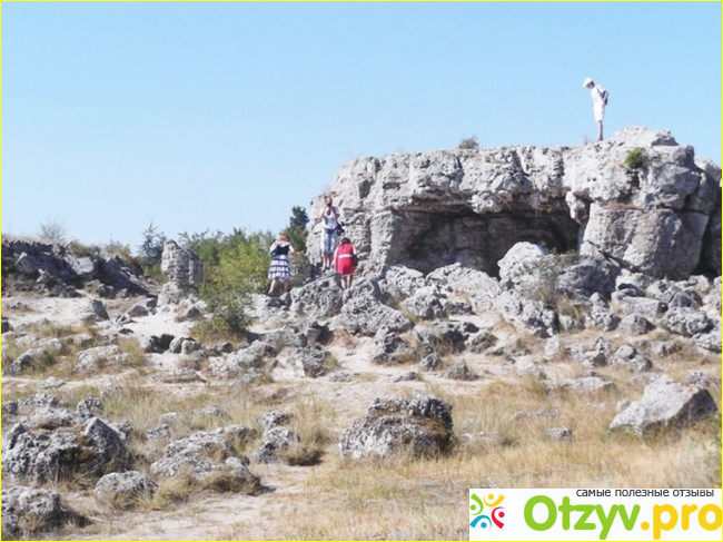 Отзыв о Каменный лес в Болгарии