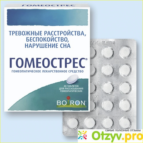 Состав гомеопатического препарата Гомеострес