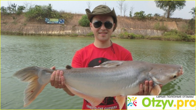 Рыбалка в тайланде фото1