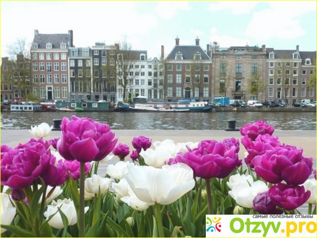 Отзывы туристов относительно экскурсий по достопримечательностям Амстердама.