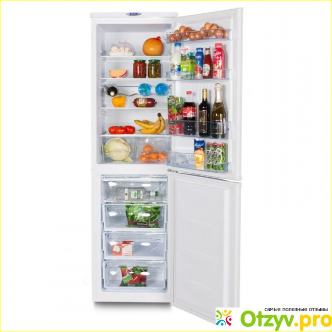 Основные возможности и особенности холодильника DON R 297