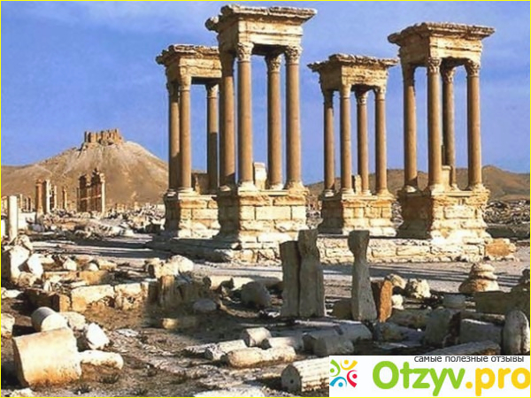 Отзыв о Пальмира