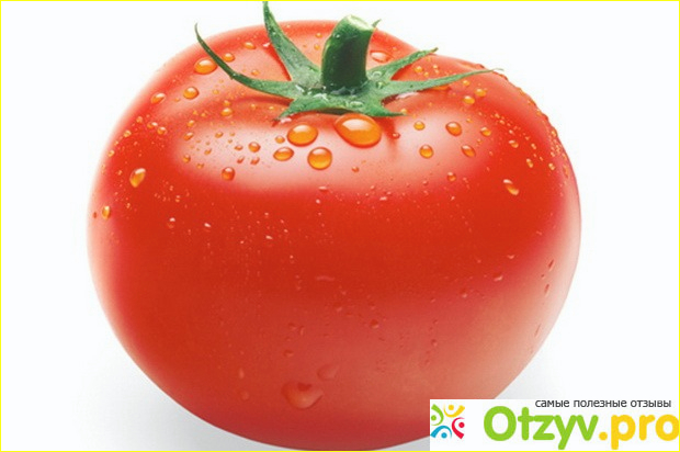 Может ли помидор быть вредным для человека?