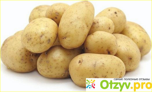 Отзыв о Сорт картофеля гала характеристика отзывы