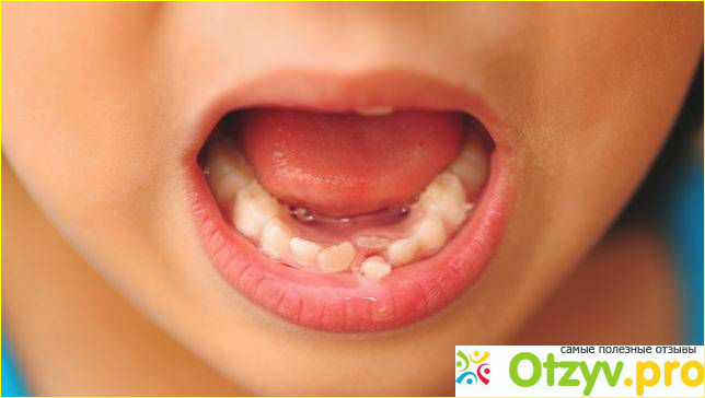 В каком возрасте выпадают молочные зубы?
