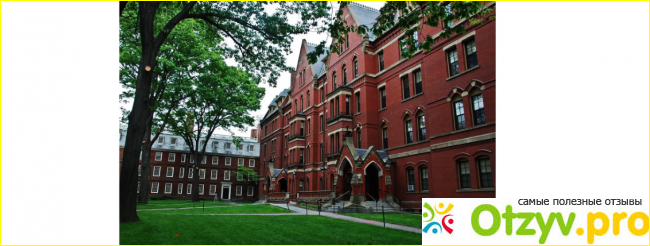 3)Принстонский университет 