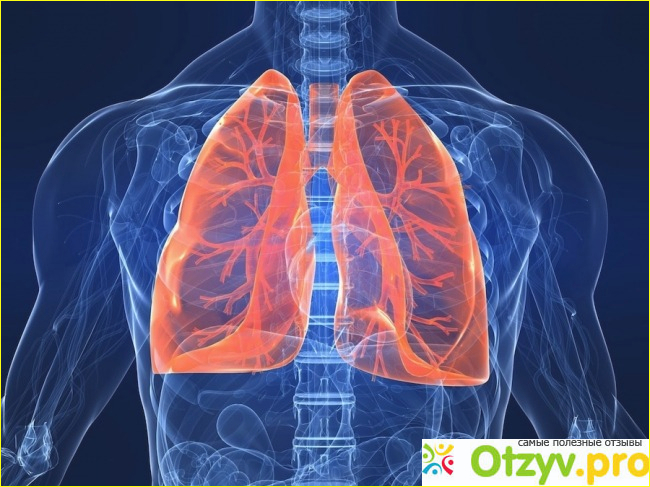 Бронхиальная астма у взрослых: симптомы, лечение.