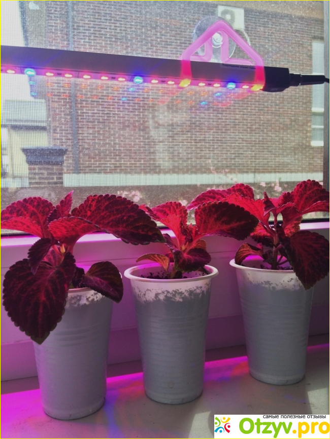 Мощная светодиодная фито линейка для рассады, цветов и аквариумных растений Кастор фото5