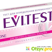Тест на беременность Evitest отзывы