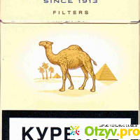 Camel сигареты отзывы