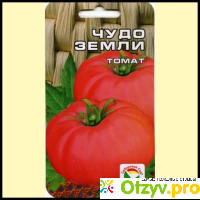 Семена томата Сибирский сад 