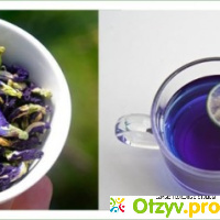 Пурпурный чай чанг шу официальный сайт отзывы