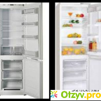 Двухкамерный холодильник ATLANT ХМ 5124 000 F отзывы