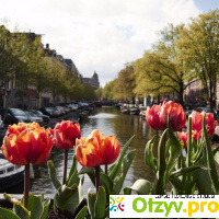 Амстердам достопримечательности отзывы туристов отзывы