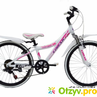Велосипед Lorak Junior Girl 246 отзывы