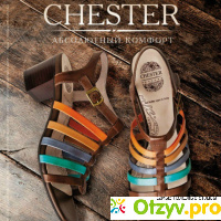 Chester обувь отзывы