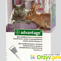 Капли от блох  для кошек Адвантейж  Bayer Advantage 80 отзывы