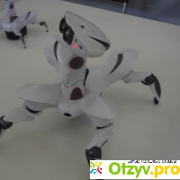 Робополис - выставка роботов в Оренбурге отзывы
