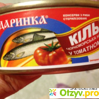 Килька черноморская в томатном соусе. отзывы