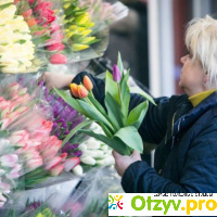 Мошенничество интернет-магазина цветов “Флора Юг” (floraug.ru) отзывы пострадавших отзывы