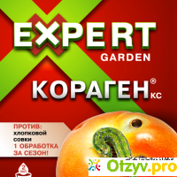Кораген КС Expert Garden для помидоров отзывы