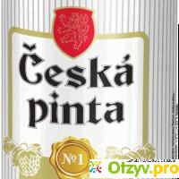 Пиво Ceska Pinta отзывы