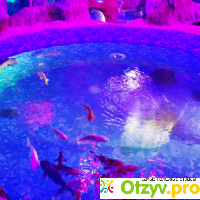Евпаторийский аквариум - чудо морское отзывы