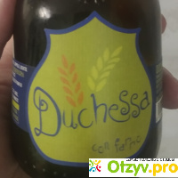 Пиво светлое Birra Del Borgo Duchessa отзывы