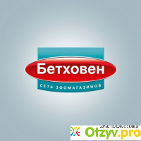 Bethowen.ru отзывы