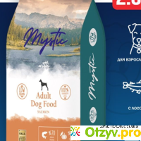 Mystic Adult Dog Food Salmon сухой корм для собак с лососем отзывы