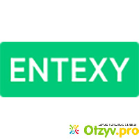 IT компания Entexy.com отзывы