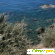 Остров Искья (Италия) - Курорты и экскурсии - Фото 31709