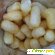 Кукурузные фигурные изделия неглазированные Золотое зерно «Салют» со вкусом салями - Кукурузные палочки, попкорн - Фото 58521