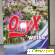 Стиральный порошок Onyx - Средства для стирки белья - Фото 80897