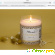 Ароматическая свеча L\'atelier Poudre Laurent Mazzone Parfums - Удаление запахов и дезинфекция - Фото 123779