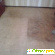 Химчистка ковров с выездом на дом -  - Фото 285216