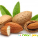 Миндаль: полезные свойства ореха, калорийность -  - Фото 365958