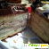 Торт Виктория Бисквитно-кремовый -  - Фото 456166